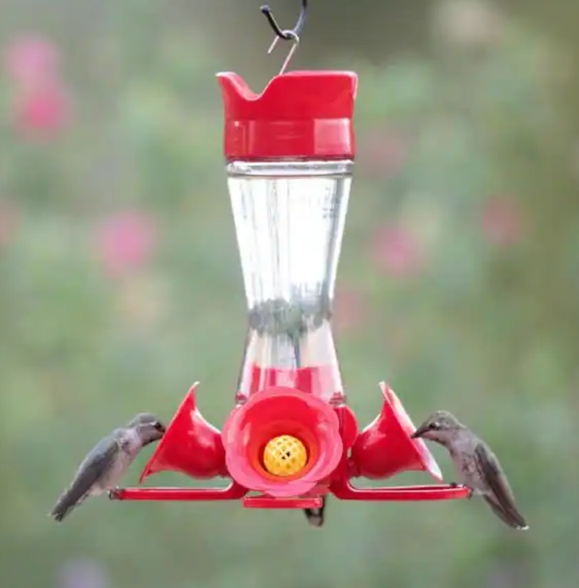 8 Oz Hummingbird Feeder